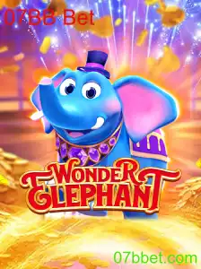 Descubra o Fascinante Mundo de WonderElephant com 07BB Bet